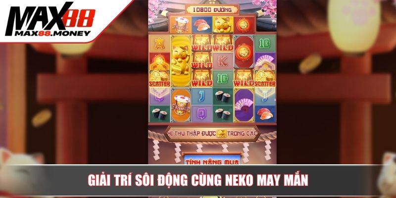 Giải trí sôi động cùng neko may mắn
