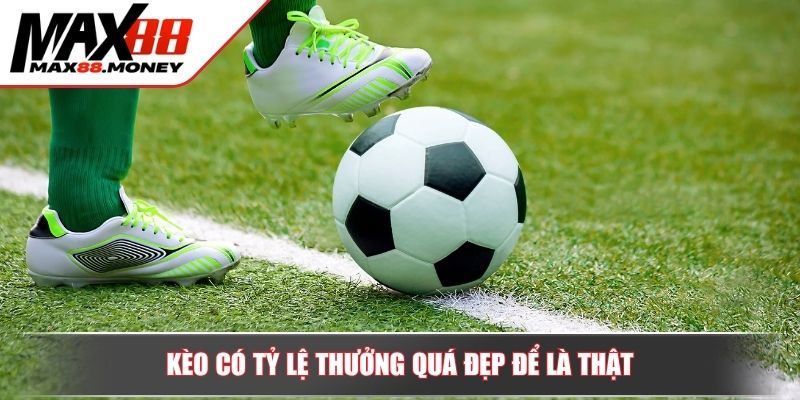 Những Loại Kèo Không Nên Cược Trong Bóng Đá Chuẩn Xác 4 Kèo có tỷ lệ thưởng quá đẹp để là thật